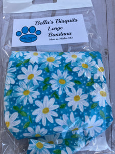 Blue daisies