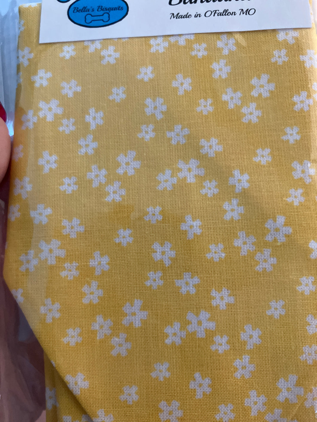 Yellow with white flowers