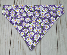 Load image into Gallery viewer, Purple Daisies