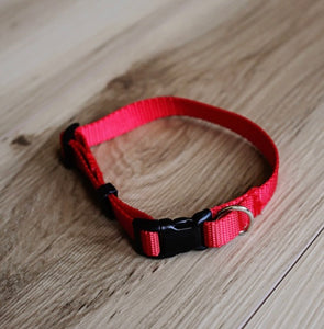 Medium collar